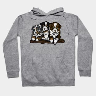 Australian Shepherd Dog Puppy Hoodie